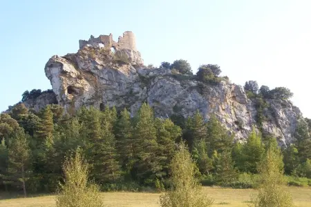 Casa Metternich, Gite pittoresque et agréable dans une nature splendide et préservée. - Photo 22