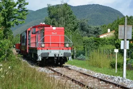 Casa Metternich, Gite pittoresque et agréable dans une nature splendide et préservée. - Photo 23