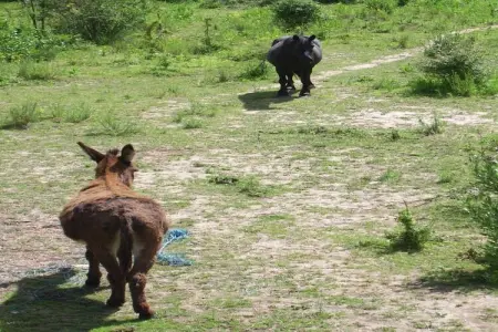 Casa Metternich, Gite pittoresque et agréable dans une nature splendide et préservée. - Photo 33