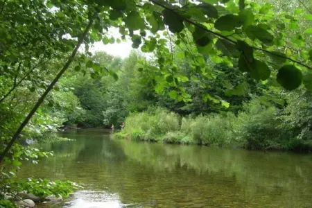 Chalet Panoramique, Maison en pierre à Ayguatébia-Talau avec vue sur le Canigou! - Photo 30