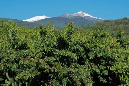 Chalet Panoramique, Maison en pierre à Ayguatébia-Talau avec vue sur le Canigou! - Photo 31