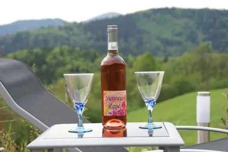 Le Panorama, Villa moderne à Fellering avec piscine privée - Photo 26