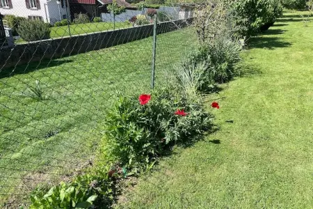Au Cheval Blanc, Résidence de vacances confortable à Ruederbach avec terrasse - Photo 28