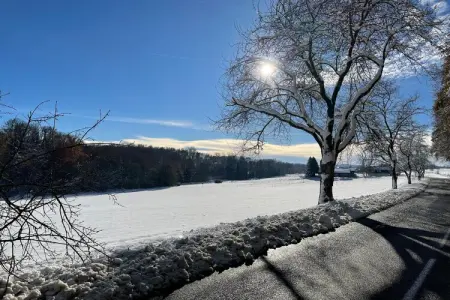 Au Cheval Blanc, Résidence de vacances confortable à Ruederbach avec terrasse - Photo 31