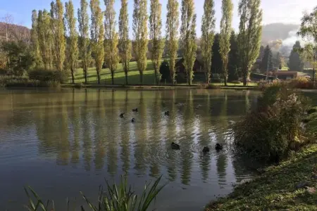 Au Cheval Blanc, Résidence de vacances confortable à Ruederbach avec terrasse - Photo 35