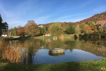 Au Cheval Blanc, Résidence de vacances confortable à Ruederbach avec terrasse - Photo 36