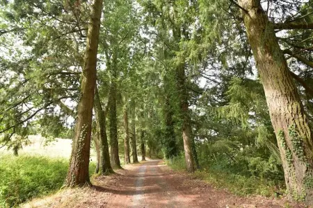 Gite 6 pers Bellevue - Le-Chardonneret, Maison de vacances spacieuse avec piscine à Cuzy - Photo 17