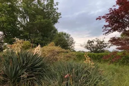Gite 6 pers Bellevue - Le-Chardonneret, Maison de vacances spacieuse avec piscine à Cuzy - Photo 28