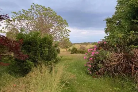 Gite 6 pers Bellevue - Le-Chardonneret, Maison de vacances spacieuse avec piscine à Cuzy - Photo 29