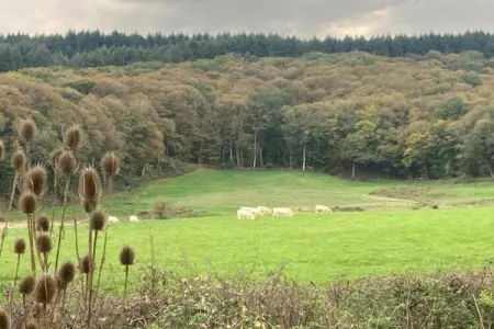 Gite 6 pers Bellevue - Le-Chardonneret, Maison de vacances spacieuse avec piscine à Cuzy - Photo 32