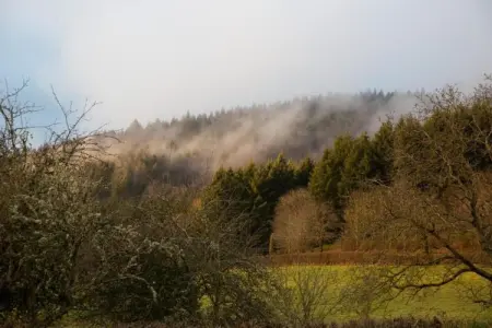 Gite 6 pers Bellevue - Le-Chardonneret, Maison de vacances spacieuse avec piscine à Cuzy - Photo 35