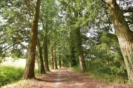 Gite 6 pers Bellevue - Le-Chardonneret, Maison de vacances spacieuse avec piscine à Cuzy - Photo 36