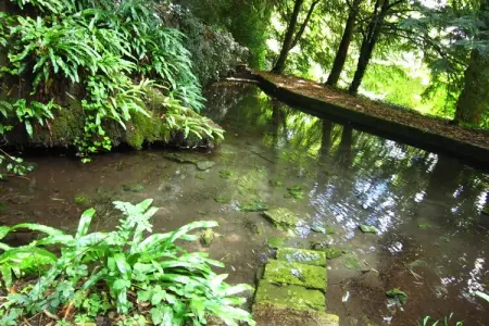 Salon du Jardin, Château confortable avec piscine à Serrières-en-Chautagne - Photo 15