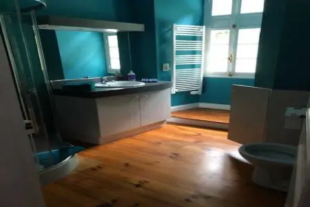 La Terre, Ancien château à Serrières-en-Chautagne avec terrasse - Photo 21