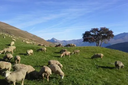 Chalet Le Mas des Neiges, Chalet panoramique près du village de montagne de Valloire - Photo 12