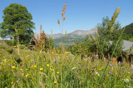 Notre Dame de Bellecombe, Chalet confortable à Notre-Dame-de-Bellecombe avec jardin - Photo 16