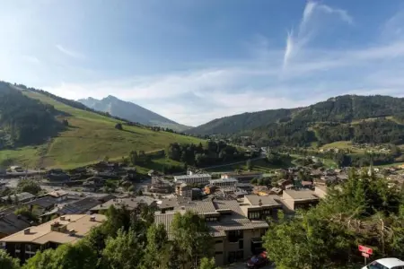 Résidence Prestige Mendi Alde 3, Luxueux appartement dans la jolie station de La Clusaz - Photo 25