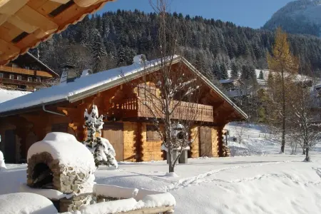 Chalet Alban, Chalet spacieux avec sauna à Châtel, en France - Photo 31