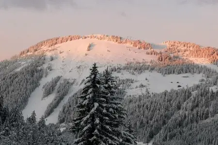 Chalet Alban, Chalet spacieux avec sauna à Châtel, en France - Photo 35