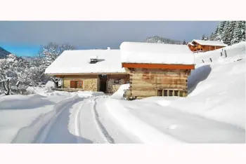 Chalet in Châtel,Chalet Petit Châtel FR-74390-66 N°349050