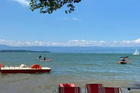 Villa, Villa isolée (Secluded Villa) à Biot avec piscine - Photo 29