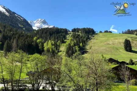 Villa, Villa isolée (Secluded Villa) à Biot avec piscine - Photo 33