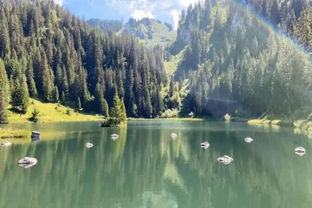 Villa, Villa isolée (Secluded Villa) à Biot avec piscine - Photo 34