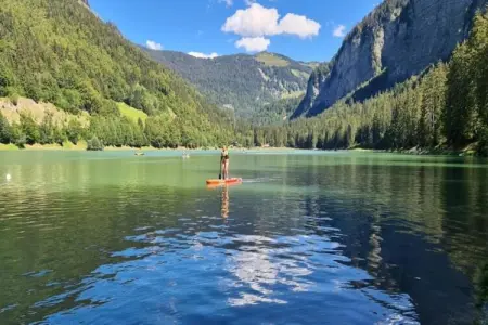 Villa, Villa isolée (Secluded Villa) à Biot avec piscine - Photo 36