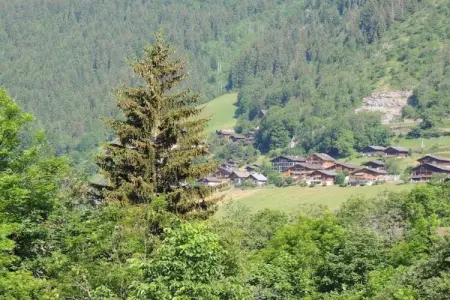 Residence Les Chalets d'Evian 2, Bel appartement rustique, dans la ville thermale d'Evian - Photo 37