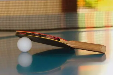 L'Aveneau - Vieille Vigne, Villa indépendante avec grand jardin, près d'un beau golf - Photo 14