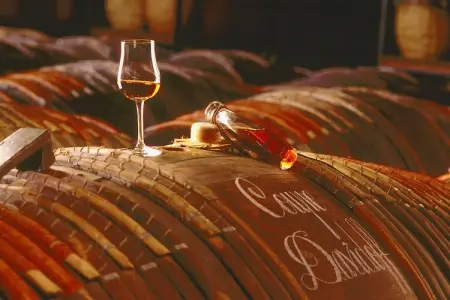 L'Aveneau - Vieille Vigne, Villa indépendante avec grand jardin, près d'un beau golf - Photo 22