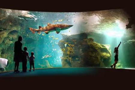 L'Aveneau - Vieille Vigne 2, Villa de bon goût avec Wi-Fi, située dans un cadre naturel - Photo 12