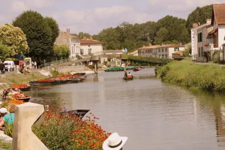 L'Aveneau - Vieille Vigne 4, Villa de bon goût avec Wi-Fi, située dans un cadre naturel - Photo 13
