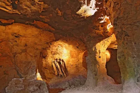 L'Aveneau - Vieille Vigne 4, Villa de bon goût avec Wi-Fi, située dans un cadre naturel - Photo 14