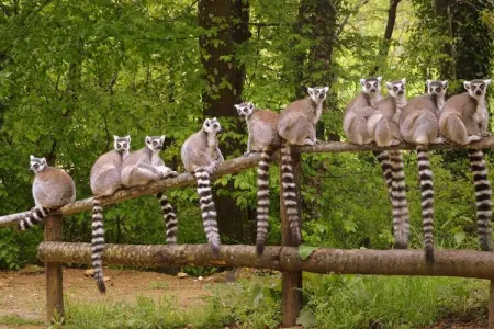 L'Aveneau - Vieille Vigne 4, Villa de bon goût avec Wi-Fi, située dans un cadre naturel - Photo 21