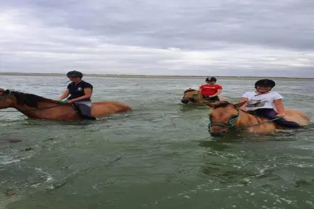 Gite 1, Maison de vacances à Quend-Plage-les-Pins avec piscine - Photo 25