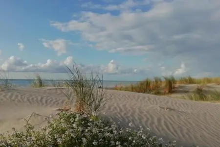 Chalet 1, Chalet vintage à Quend-Plage-les-Pins avec piscine - Photo 22