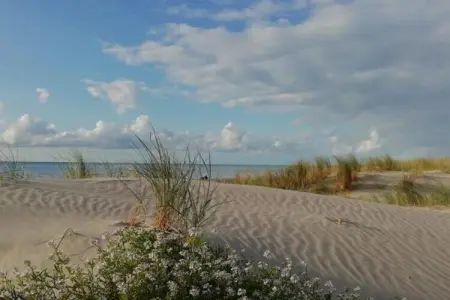 Gîte 11, Maison de vacances à Quend-Plage-les-Pins avec piscine - Photo 26