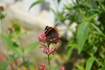 Le Clos St Vincent, Maison confortable avec piscine privée à Folleville - Photo 42