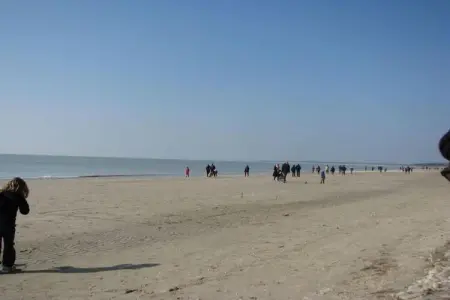 Résidence les Villas de la Baie 1, Charmante maison avec baignoire, située sur la côte normande - Photo 19