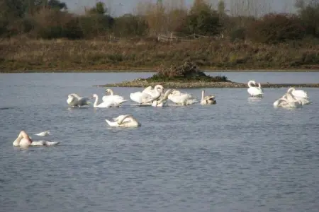 Résidence les Villas de la Baie 1, Charmante maison avec baignoire, située sur la côte normande - Photo 20