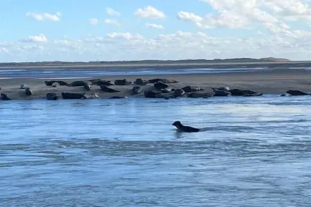 Résidence les Villas de la Baie 1, Charmante maison avec baignoire, située sur la côte normande - Photo 32