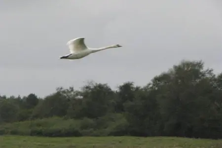 Résidence les Villas de la Baie 1, Charmante maison avec baignoire, située sur la côte normande - Photo 37
