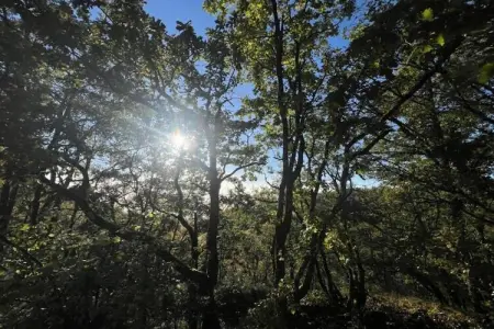 Villa d'Estienne, Belle maison de vacances avec piscine à Montaigu-de-Quercy - Photo 25