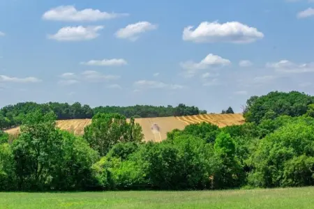 Villa d'Estienne, Belle maison de vacances avec piscine à Montaigu-de-Quercy - Photo 28