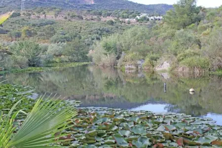 Villa l'Anthémis villa 5 pieces piscine commune, Maison de vacances à Bormes-les-Mimosas près de la mer - Photo 36