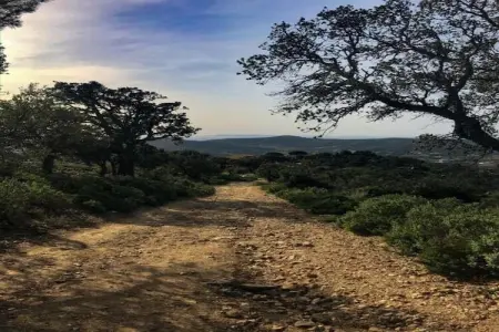 La Ratatouille, Villa spacieuse près de la mer à Cavalaire-sur-Mer - Photo 35