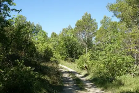 La Chiroquoise, Maison de charme dans le fôret au Flayosquet avec piscine privée - Photo 25