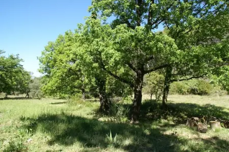 La Chiroquoise, Maison de charme dans le fôret au Flayosquet avec piscine privée - Photo 27