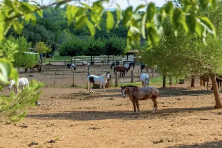 Maison de vacances Le Luc, Maison de vacances moderne à Le Luc avec piscine privée - Photo 23